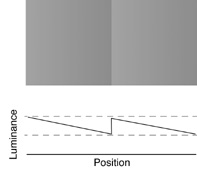 This illusion depends on a smooth grayscale gradient.  Please set your monitor to high resolution.